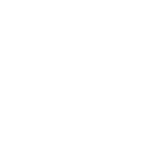 Black Gram (Urad Dal) 