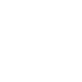 Hydrolyzed Vegetable Protein (Soy)